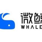 微鲸310方案U盘刷机升级视频教程